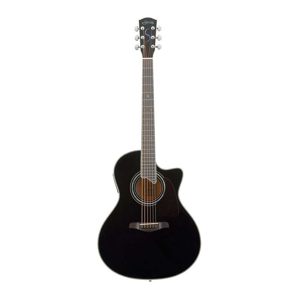 アコースティックギター YE-5M/BK